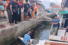 Kronologi Penemuan Mayat Anak di Kampung Nipa Bulukumba