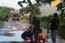 Warga Taccorong Protes Jalan Rusak, Mereka Tanam Pohon Pisang dan Aksi Teatrikal