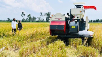 Foto: Presiden Joko Widodo secara langsung meninjau panen dan tanam padi di Desa Kanigoro, Kecamatan Pagelaran, Kabupaten Malang, dalam kunjungan kerjanya di Provinsi Jawa Timur pada Kamis, 29 April 2021. (Biro Pers Sekretariat PresidenLaily Rachev)