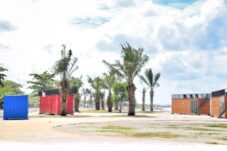 Pantai Merpati Bulukumba Ditanami Pohon Sawit