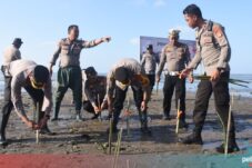 Polres Bulukumba Tanam 1000 Pohon Mangrove