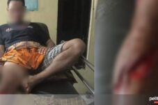 Warga Herlang Bulukumba Diserang Buaya