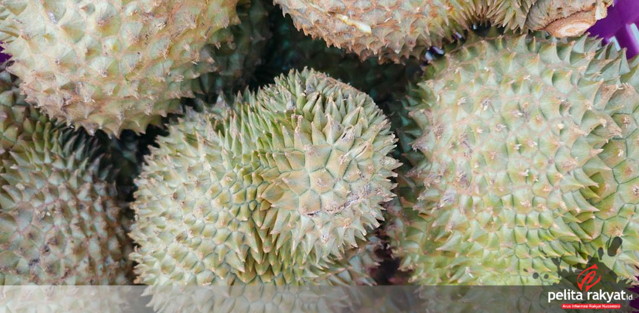 Buah Durian