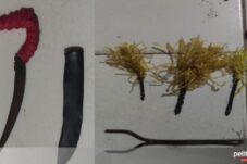 Bawa Taji dan Busur, Dua Pria di Bulukumba Diamankan Polisi