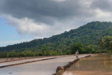Sawah, Petani dan Gotong Royong yang Tersisa