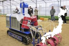 Tantangan Pertanian Modern di Jepang, Populasi Petani Menurun dan Menua