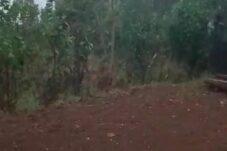 Video: Fenomena Hujan Es Terjadi di Tamaona Kabupaten Bulukumba