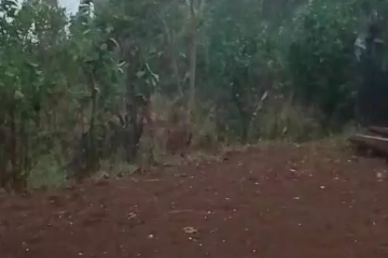 Video: Fenomena Hujan Es Terjadi di Tamaona Kabupaten Bulukumba