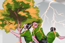 Waspada! 3 Warga Desa Sipaenre Bulukumba Tersambar Petir, Satu Orang Dilarikan ke Rumah Sakit