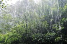 Warga Desa Diimbau Waspadai Cuaca Buruk