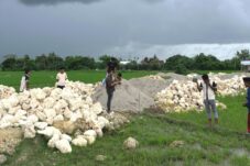 Perumahan Pratama Indah Permai Bakal Bangun 54 Unit Rumah Subsidi di Kota Bulukumba, Ini Spesifikasinya!
