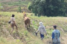 Warga Gowa Sulsel Resah, Maraknya Pencurian Ternak Tak Kunjung Diusut Tuntas