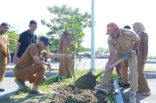 Pemkab Bulukumba Dorong Penanaman Pohon Produktif di Ruang Terbuka Hijau