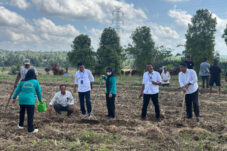 Mappideceng, Inovasi Tanpa APBD: Langkah Nyata Rilau Ale Bangun Ketahanan Pangan Warga