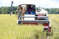 Andi Utta Tekankan Pentingnya Ketahanan Pangan dan Modernisasi Pertanian