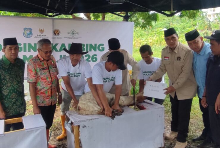 BAZNAS Bulukumba Sembelih 129 Ekor Kambing DAM Jamaah Haji, Dibagi ke Panti Asuhan dan Ponpes