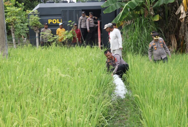 Water Canon Polres Bulukumba Bantu Petani Atasi Kekeringan Sawah