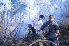 Bupati Bantaeng Turun Langsung ke Lokasi Kebakaran Bonto Lojong, Penanganan Berlanjut