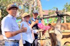 Heboh! Jambore Pelayanan Publik Bulukumba Layani Sapi hingga Kucing, Ada Pengobatan Gratis dan Vaksin Rabies